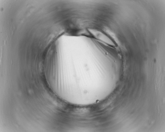 X0000088660161200706152041