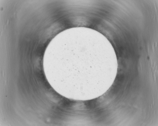 X0000088660162200706152041