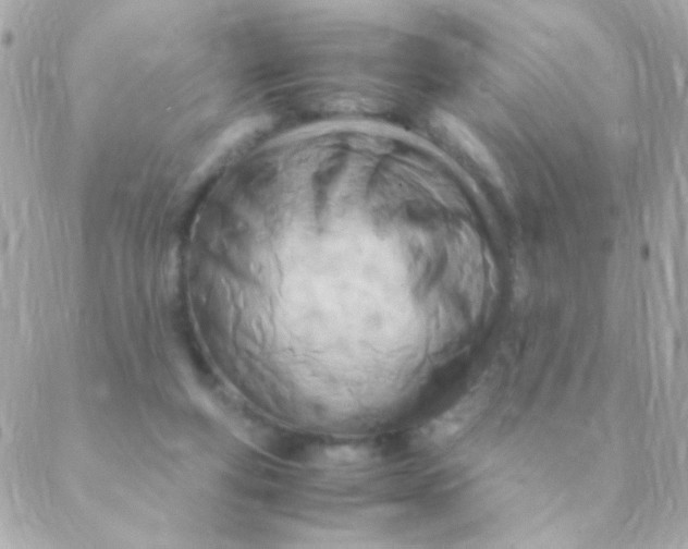 X0000088660163200706152041