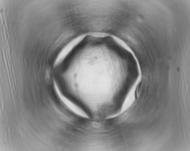 X0000088660166200706152041