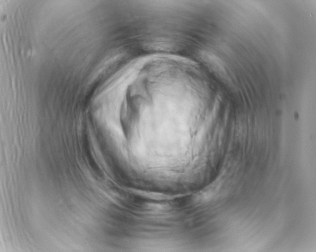 X0000088660167200706152041