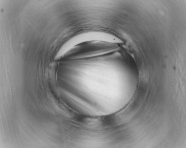 X0000088660170200706152041