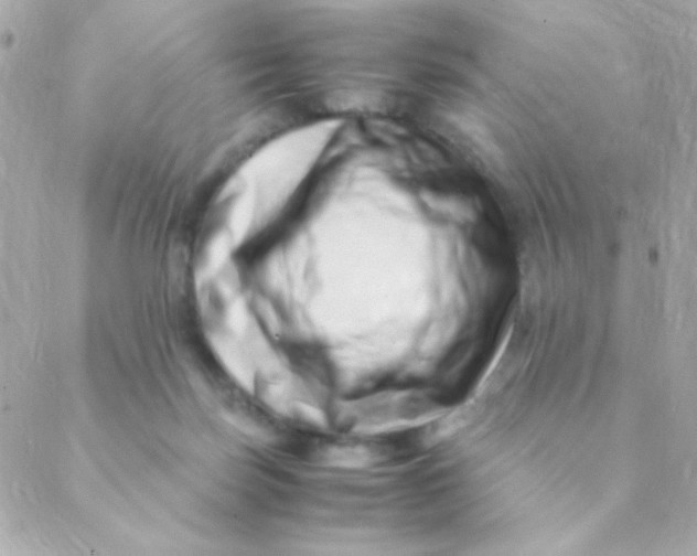 X0000088660171200706152041