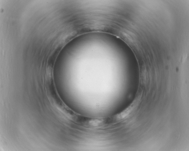 X0000088660172200706152041