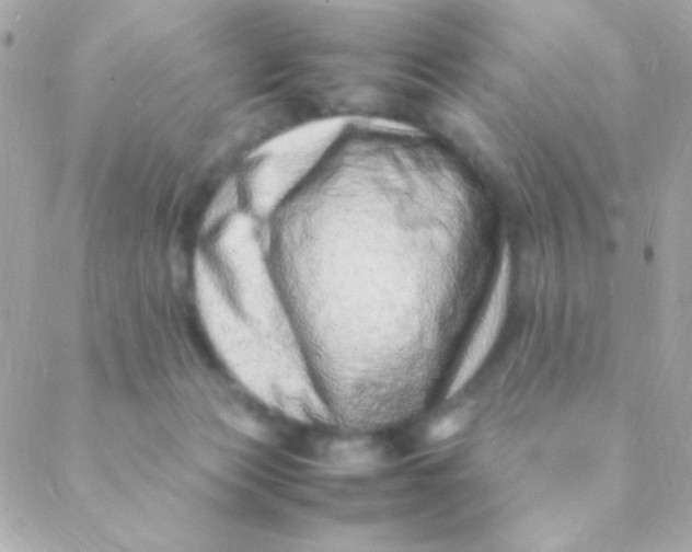 X0000088660173200706152041