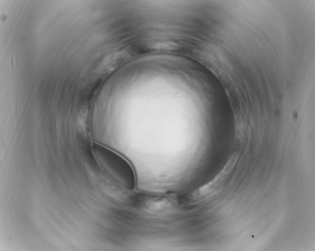 X0000088660175200706152041