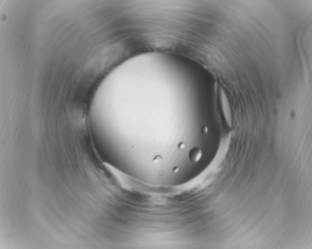 X0000088660176200706152041
