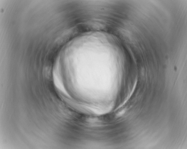 X0000088660177200706152041