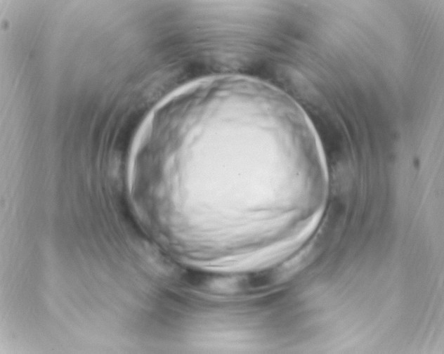 X0000088660178200706152041
