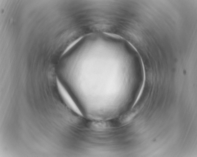 X0000088660181200706152042
