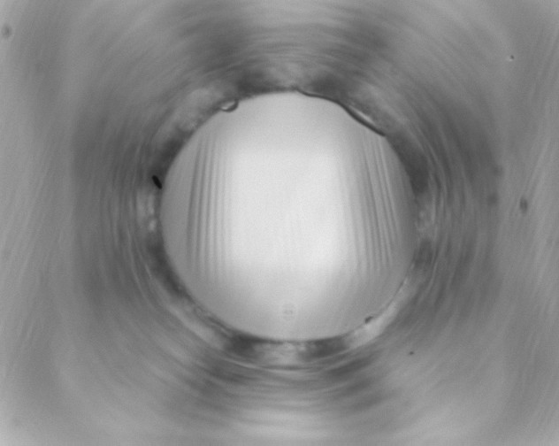 X0000088660182200706152042