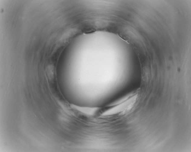 X0000088660184200706152042