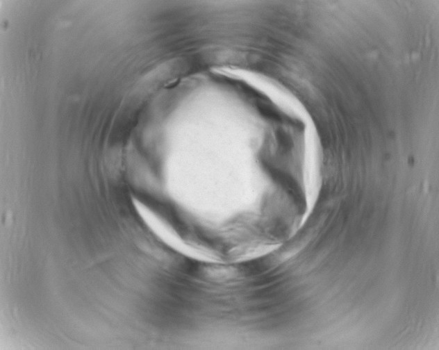 X0000088660189200706152042