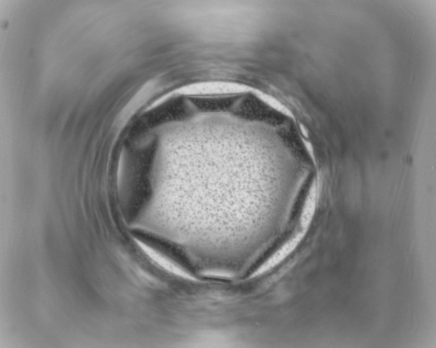 X0000088660195200706152041
