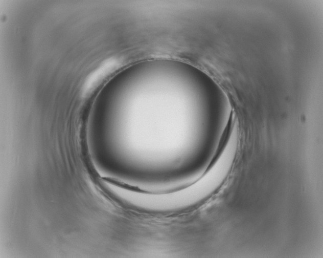 X0000088660197200706152041
