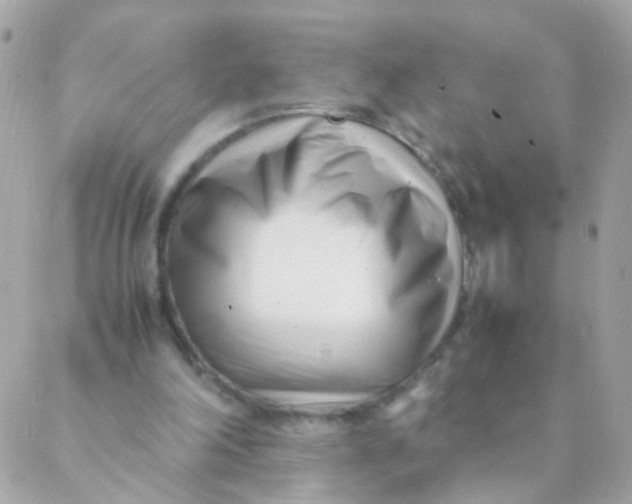 X0000088660198200706152041