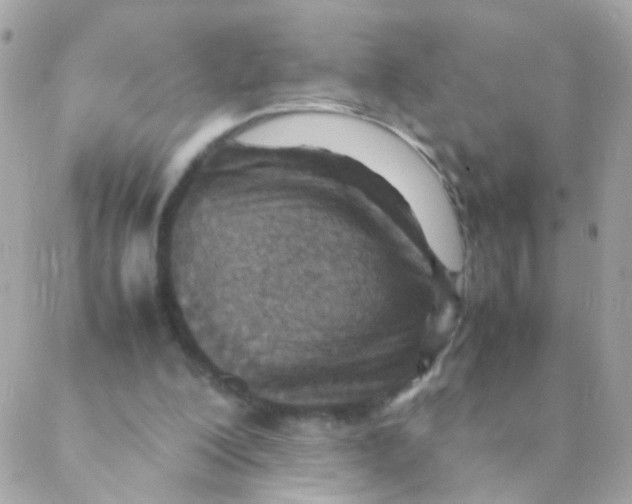 X0000088660200200706152041