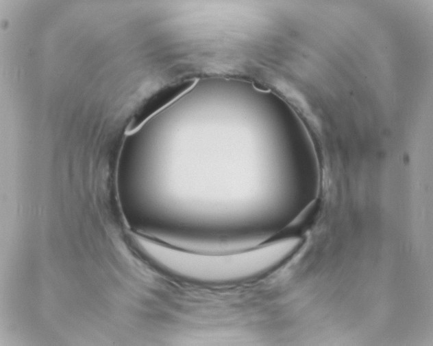 X0000088660201200706152041