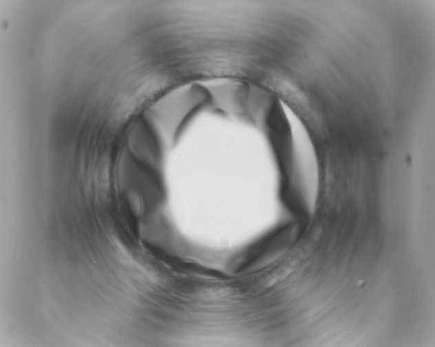 X0000088660202200706152041