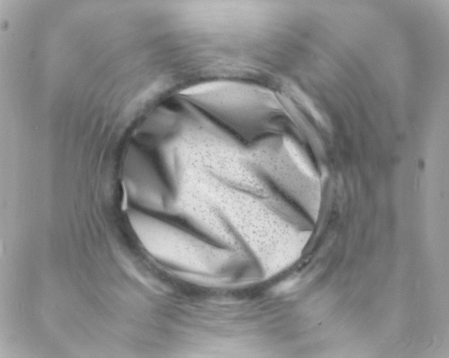 X0000088660203200706152041