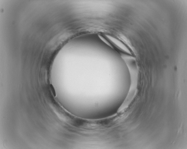X0000088660205200706152041