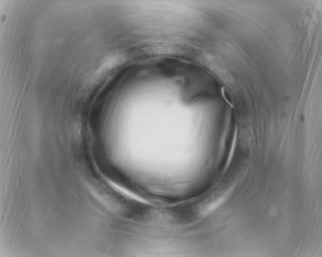 X0000088660207200706152041