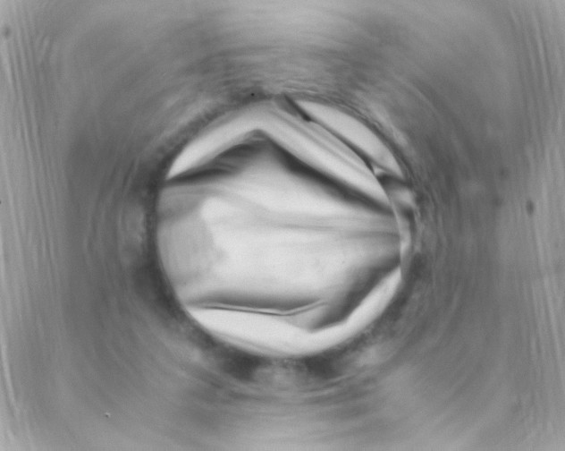 X0000088660211200706152041