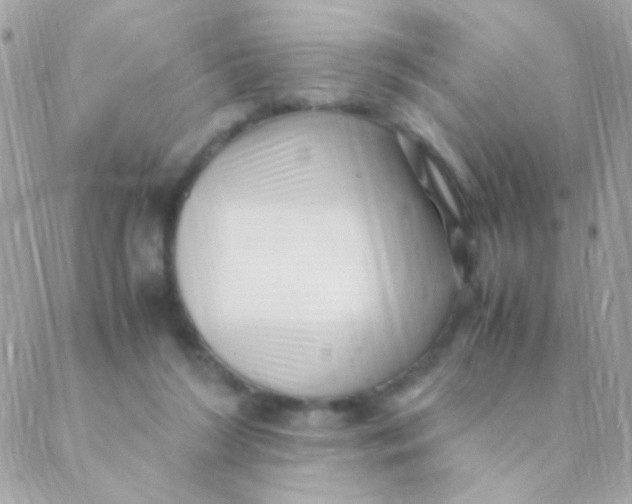 X0000088660212200706152041