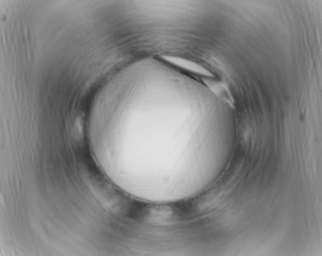 X0000088660214200706152041