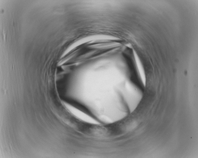 X0000088660215200706152041