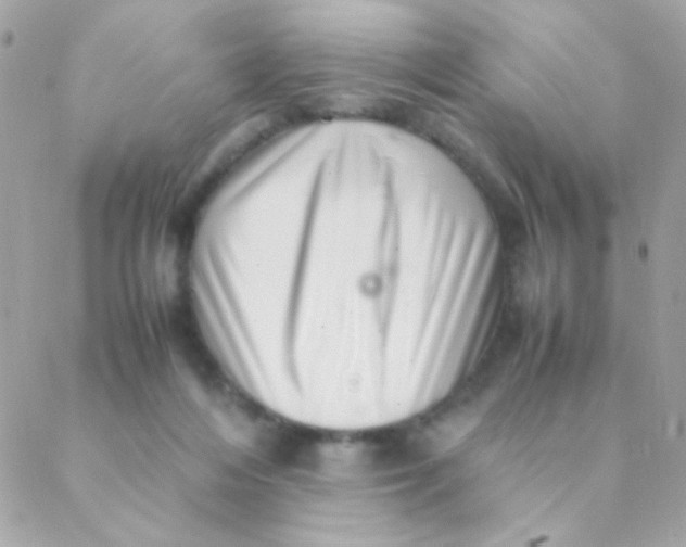 X0000088660216200706152041