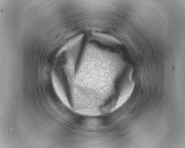X0000088660218200706152041
