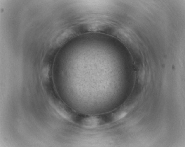 X0000088660219200706152040