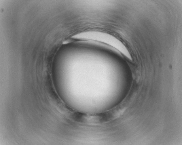 X0000088660221200706152040
