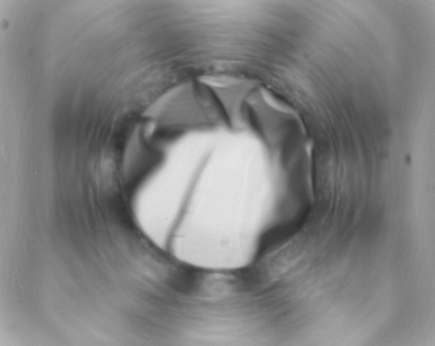 X0000088660222200706152040