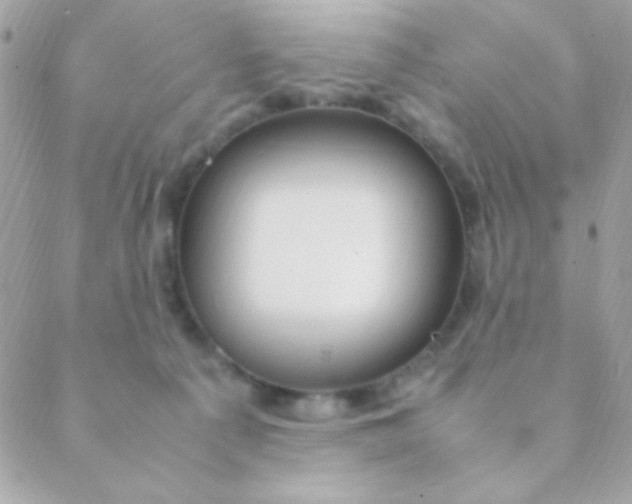 X0000088660225200706152040