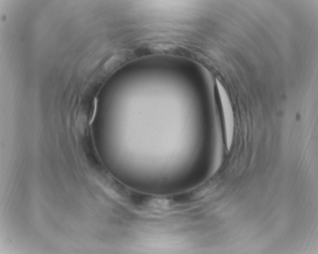 X0000088660227200706152040
