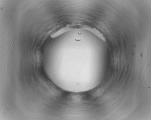 X0000088660228200706152040