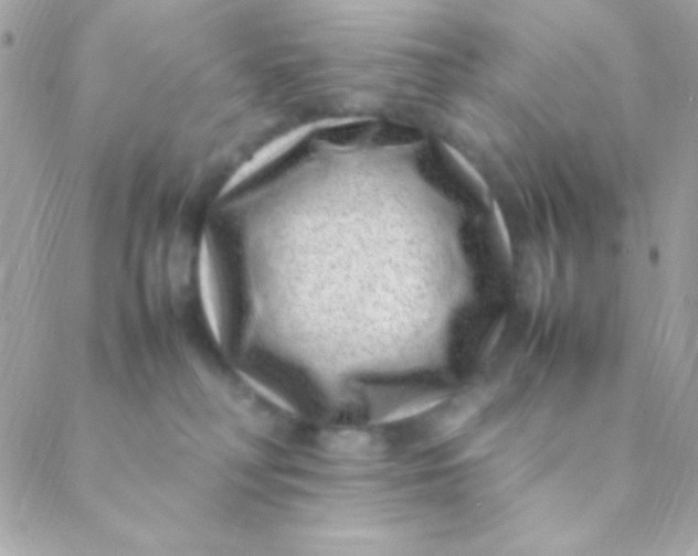 X0000088660230200706152040