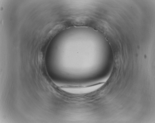 X0000088660231200706152040