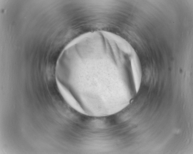 X0000088660236200706152040