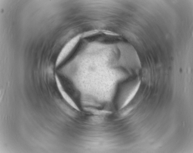 X0000088660238200706152040