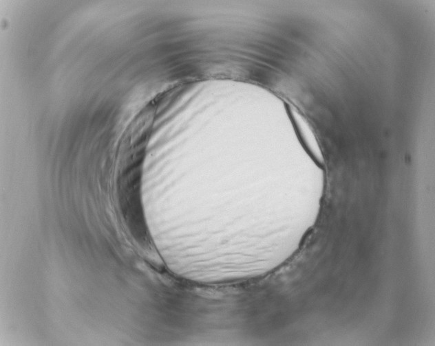 X0000088660241200706152039