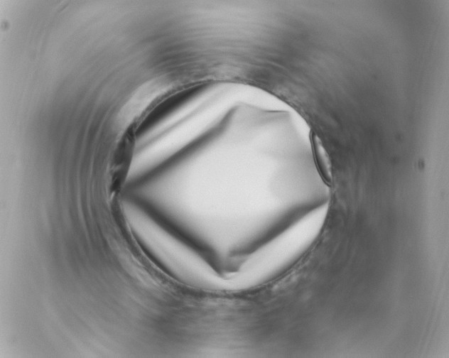 X0000088660242200706152039
