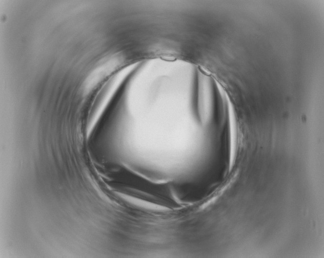 X0000088660245200706152039