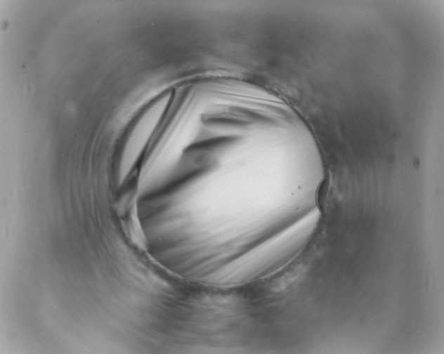 X0000088660247200706152039