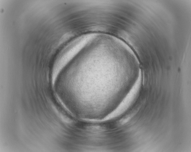 X0000088660253200706152040
