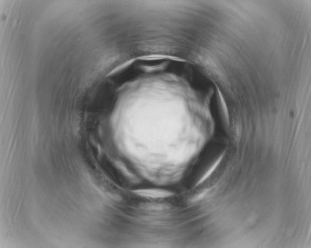 X0000088660255200706152040