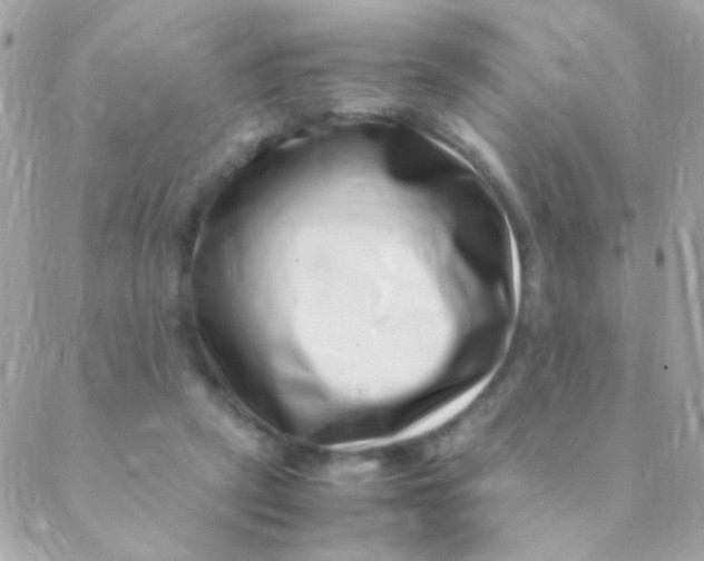 X0000088660257200706152040