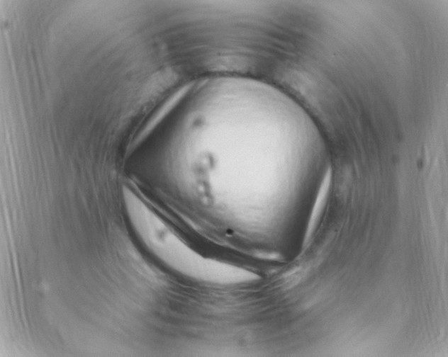 X0000088660261200706152040